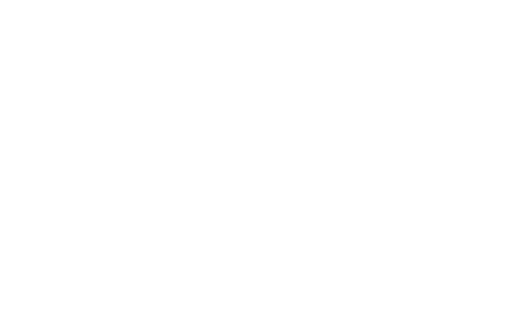 ACES AMERICA